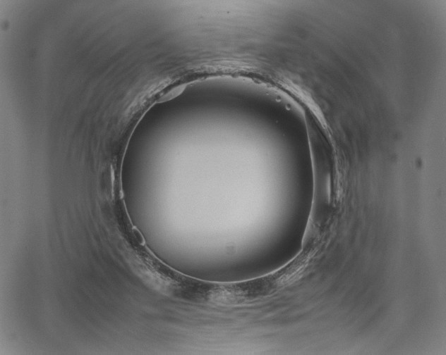 X0000067480109200604071149