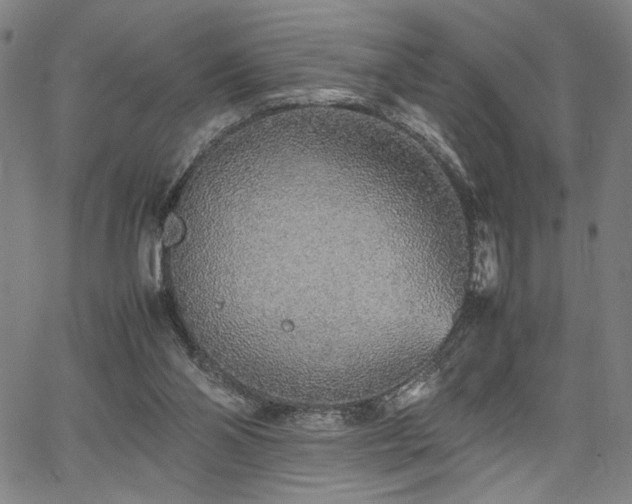 X0000067480110200604071149