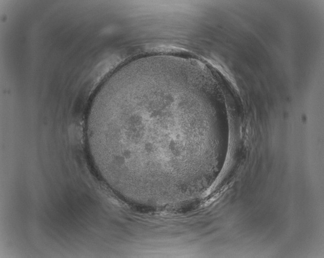 X0000067480111200604071149