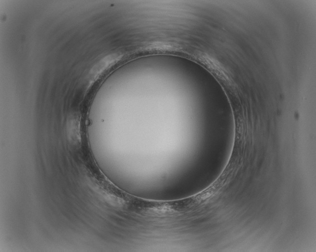 X0000067480112200604071149