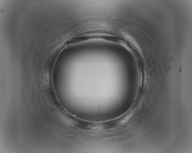 X0000067480113200604071149