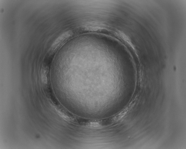 X0000067480114200604071149