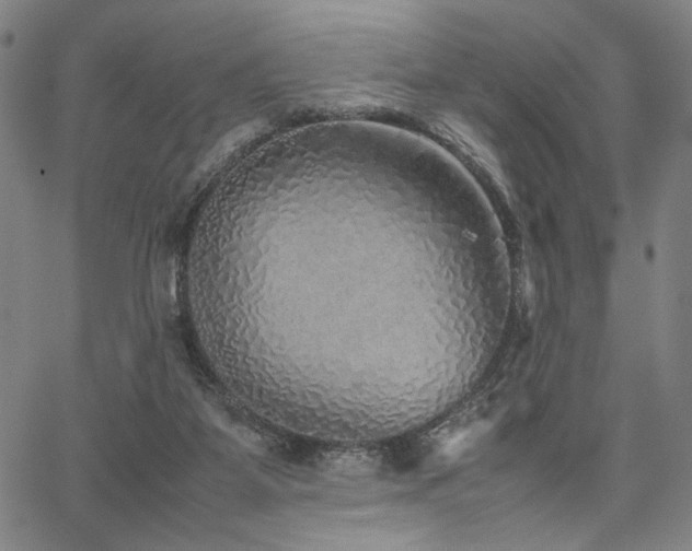 X0000067480115200604071149