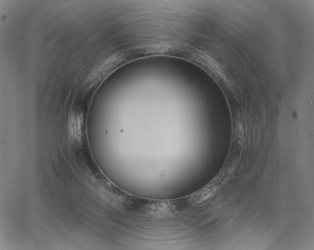 X0000067480118200604071148