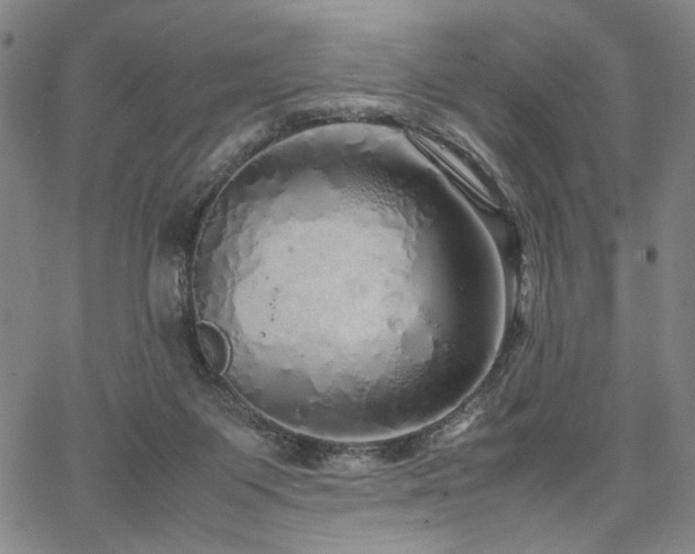 X0000067480119200604071148