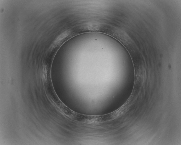 X0000067480120200604071148