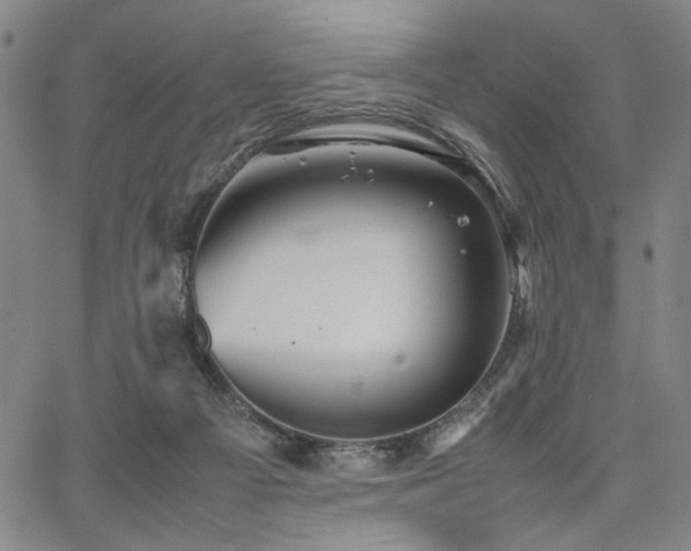 X0000067480121200604071148