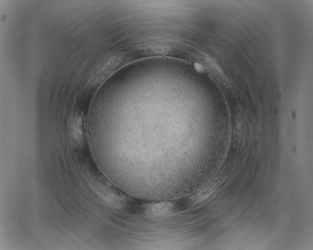 X0000067480122200604071148