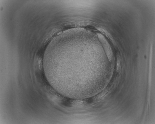 X0000067480123200604071148