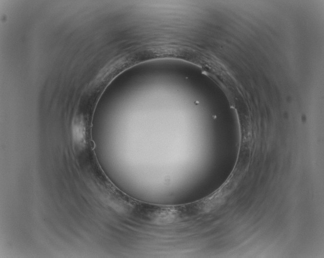 X0000067480124200604071148