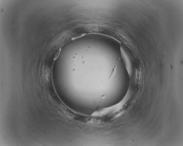 X0000067480125200604071148