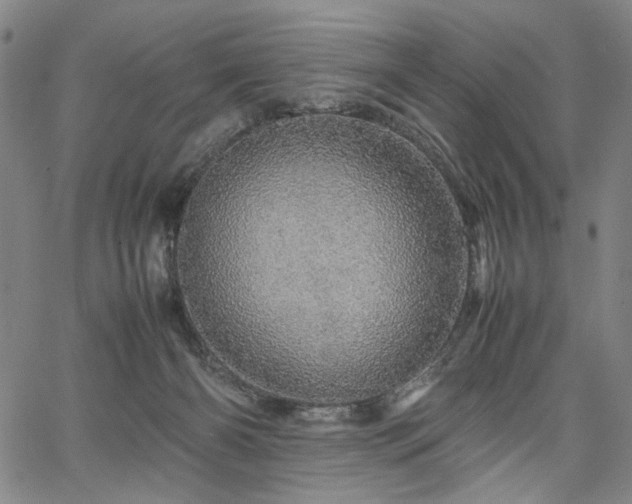 X0000067480126200604071148