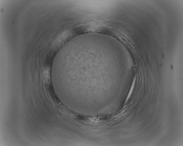 X0000067480127200604071148