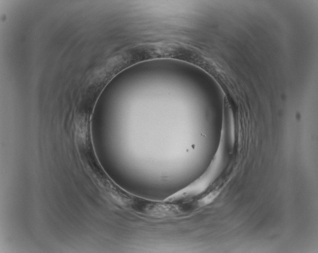 X0000067480129200604071148