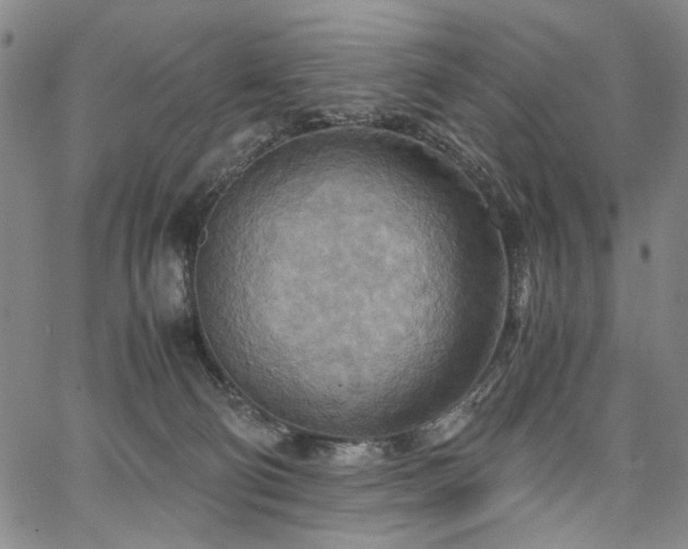 X0000067480130200604071148