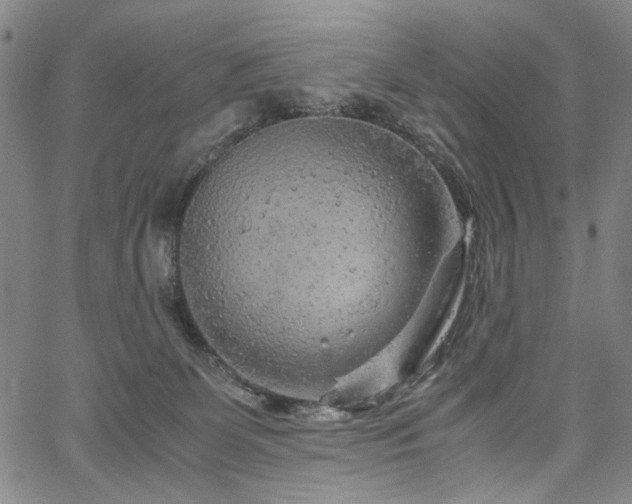 X0000067480131200604071148