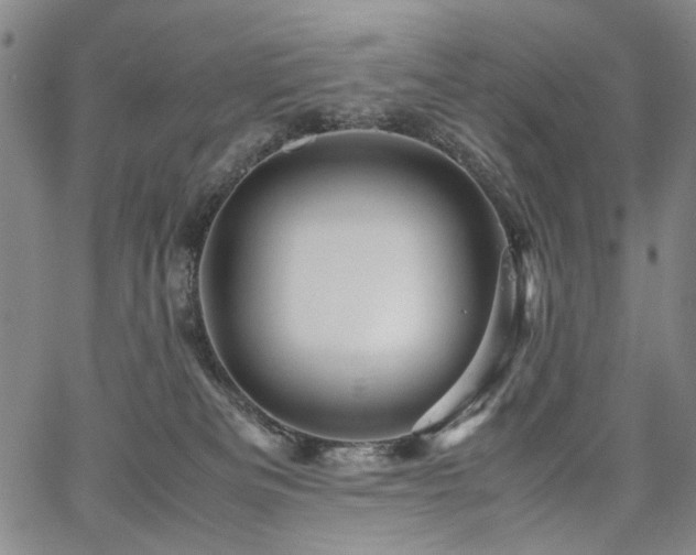 X0000067480133200604071148