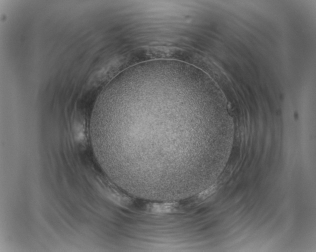 X0000067480134200604071148