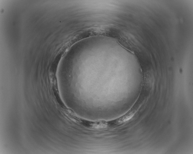 X0000067480135200604071148