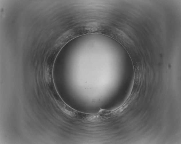 X0000067480136200604071148