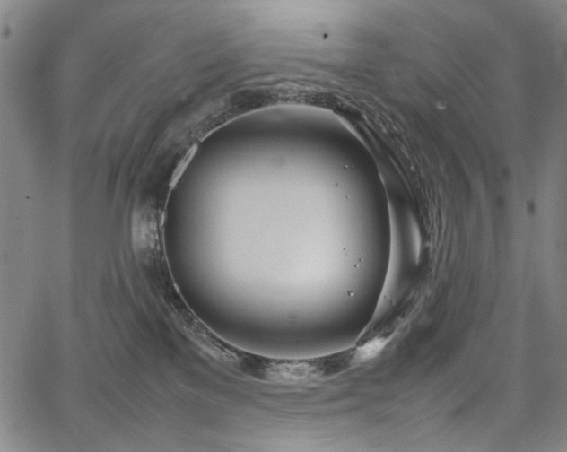 X0000067480137200604071148