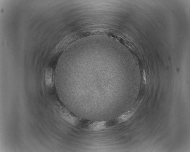 X0000067480138200604071148