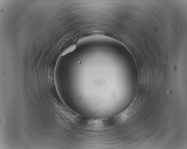 X0000067480140200604071148