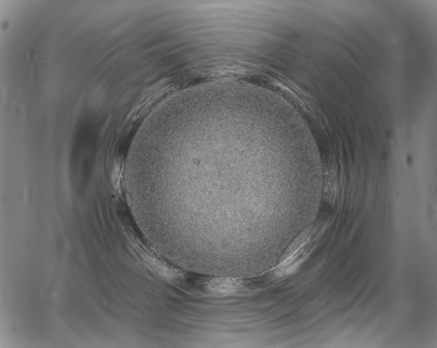 X0000067480142200604071148