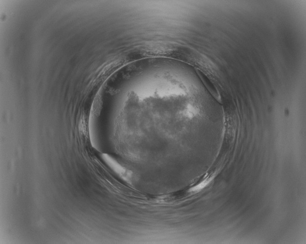 X0000067480143200604071148