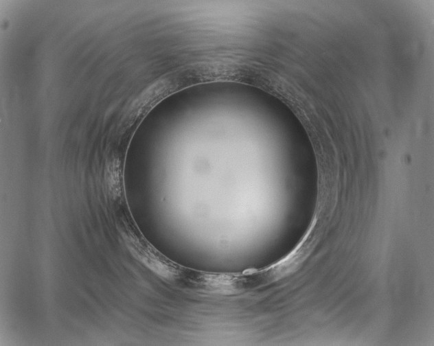 X0000067480144200604071148