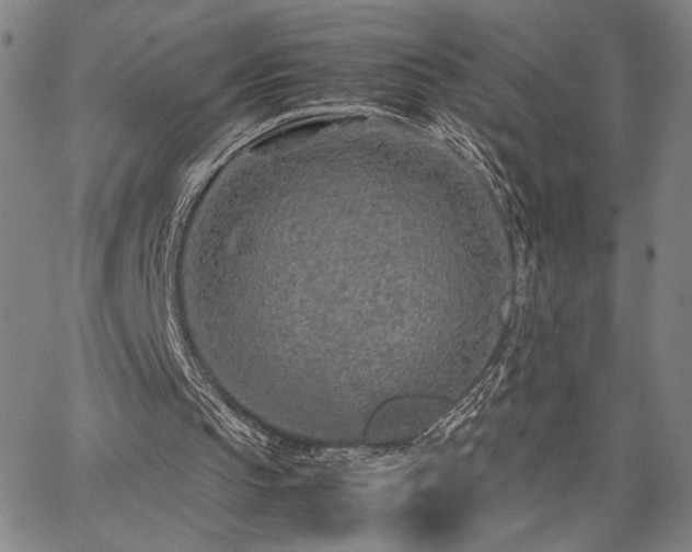 X0000067480145200604071147