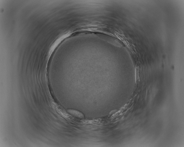 X0000067480147200604071147