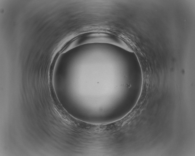 X0000067480148200604071147