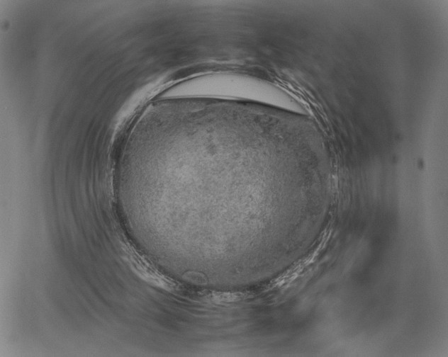 X0000067480149200604071147