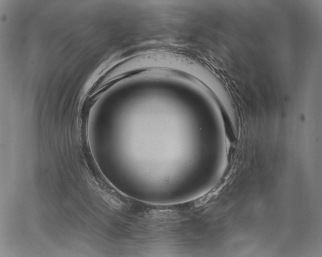 X0000067480150200604071147