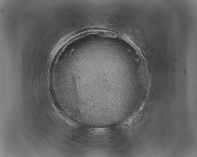 X0000067480151200604071147