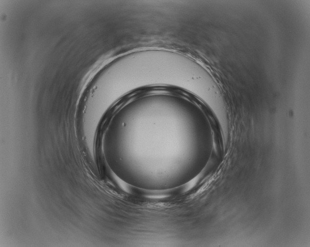 X0000067480152200604071147