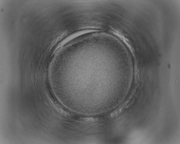 X0000067480153200604071147