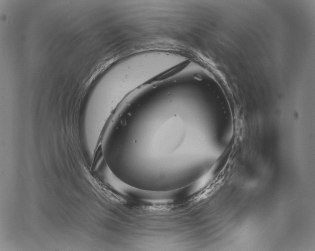 X0000067480154200604071147