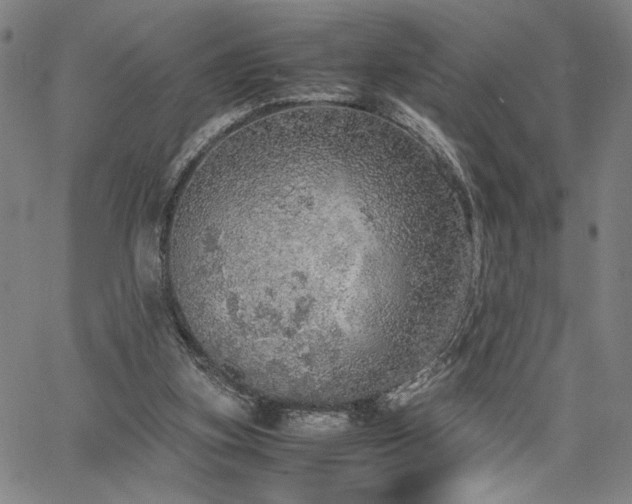 X0000067480155200604071147