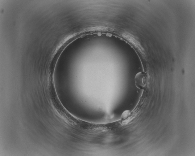 X0000067480156200604071147