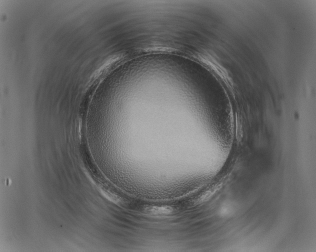 X0000067480157200604071147