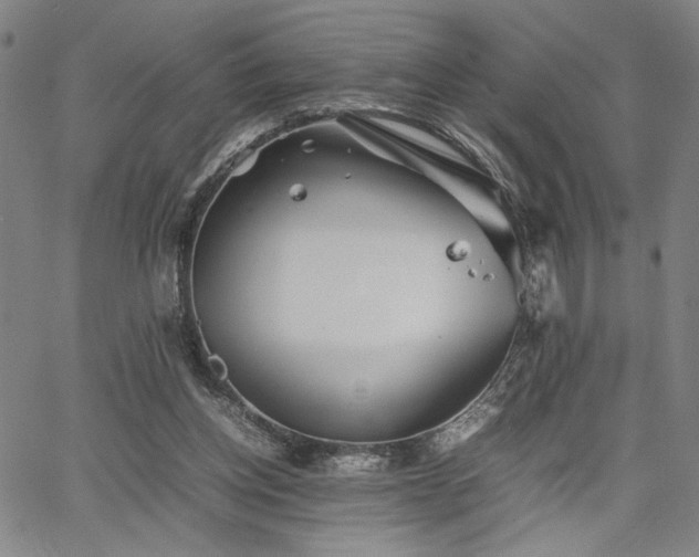 X0000067480158200604071147