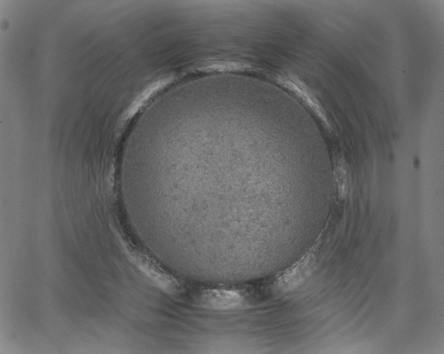 X0000067480159200604071147