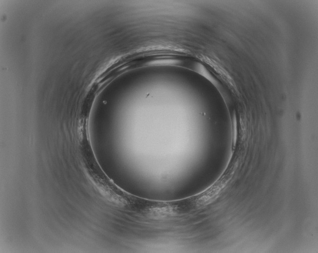 X0000067480160200604071148