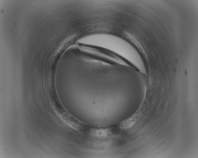 X0000067480163200604071148