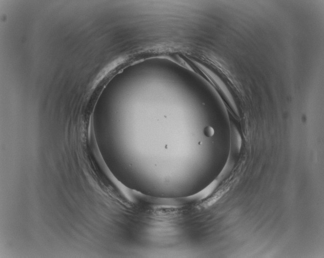 X0000067480164200604071148