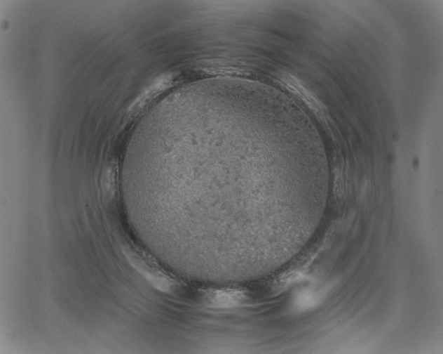 X0000067480165200604071148