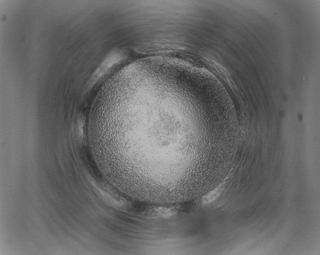 X0000067480166200604071148