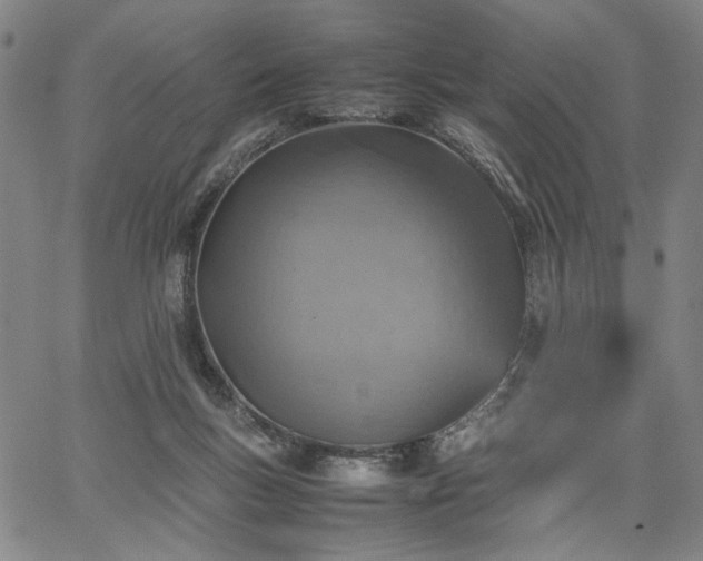 X0000067480167200604071148